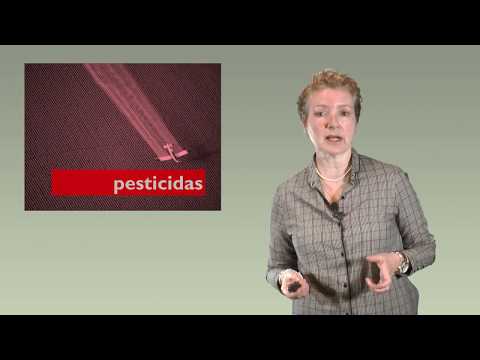 Vídeo: Xeneralidades sobre pesticidas