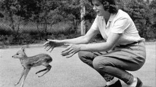 DOOM GENERATION - UNDER IN