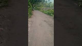 Download lagu Kampung Jampang 2 mp3