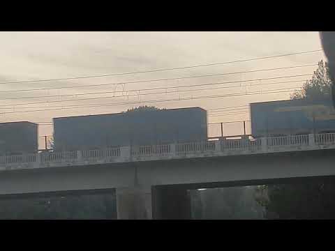 Treno merci con LKW WALTER, in transito a Verona Parona.