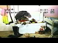 Opening To Winnie The Pooh And The Blustery Day 1993 VHS
