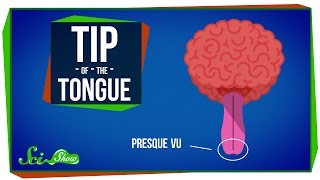 How Words Get Stuck on the Tip of Your Tongue