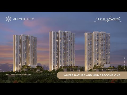 Alembic Cloud Forest Project Tour 1