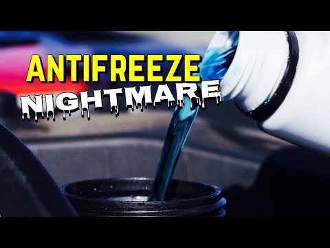 What Kind of Water do you Mix with Antifreeze - Using the Wrong Antifreeze - Honda Type 2