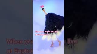 UNIFORM CHALLENGE ?? |TIKTOK GIRLS| #Shorts #TikTok #challenge