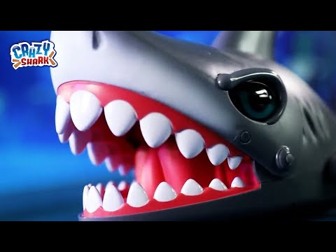 BEST SHARK TOY EVER - Crazy Shark