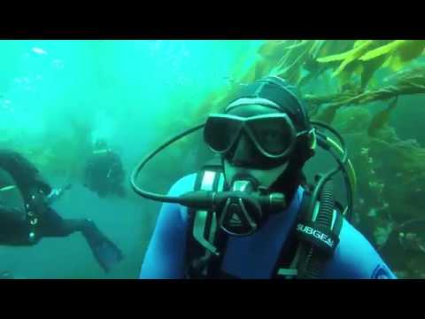 Scuba Diving Anacapa Island (4K)