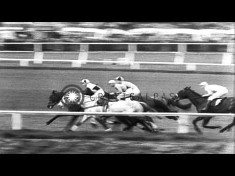 Racing horses leap over obstacles and Nickel Coin wins the Grand National Steeple...HD Stock Footage