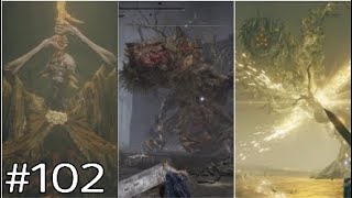 やたら色んなボスと戦ってる回【エルデンリングDLC】#102　※ネタバレ注意