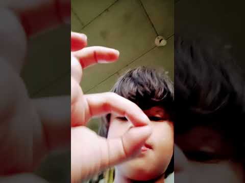 palmares San José alajuela San Jerónimo dulce nombre