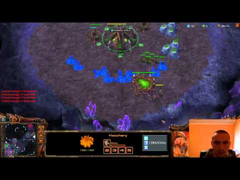 [HoTS] DIMAGA ZvZ must watch 01.03.2013