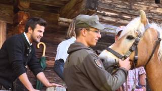 Absäumen beim Stanglwirt