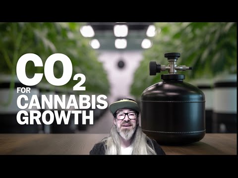 The Truth About CO2 In Your Grow Room : Everything You Need To Know w/ Chad Westport