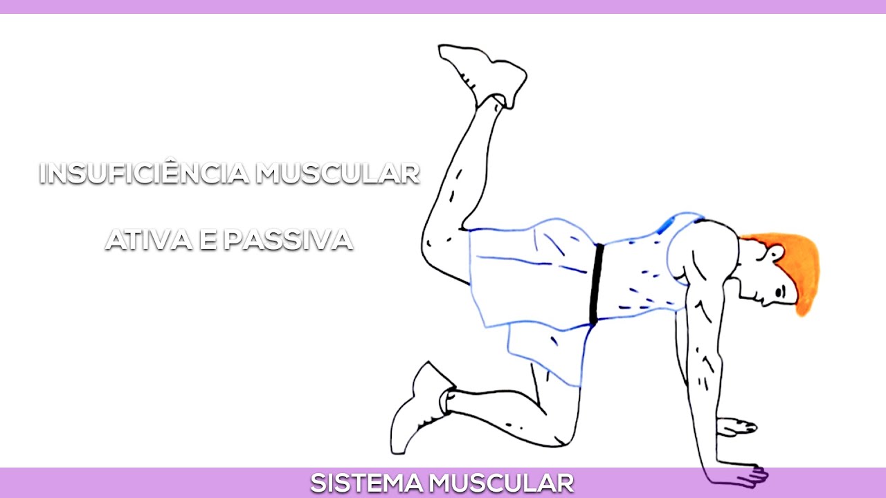 Insuficiências musculares Ativa e Passiva