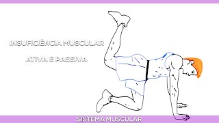 Insuficiências musculares Ativa e Passiva