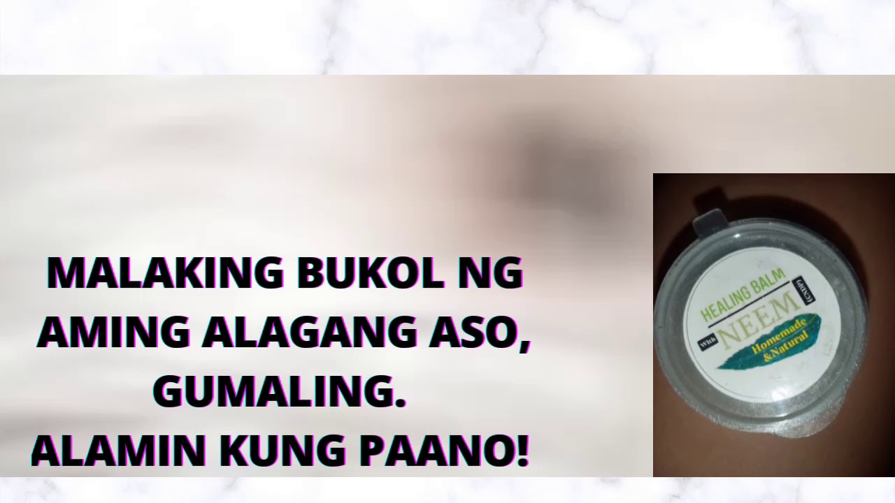 MALAKING BUKOL na tumubo sa aming alagang Aso/Gumaling!