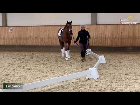 Feliciano Longe und harter Boden