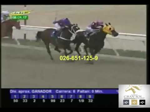 LA RINCONADA 6 CARRERA. DOMINGO 08 DE ENERO DEL 2016