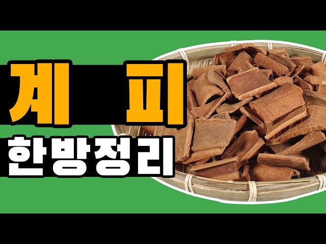 Wymowa wideo od 수정 na Koreański