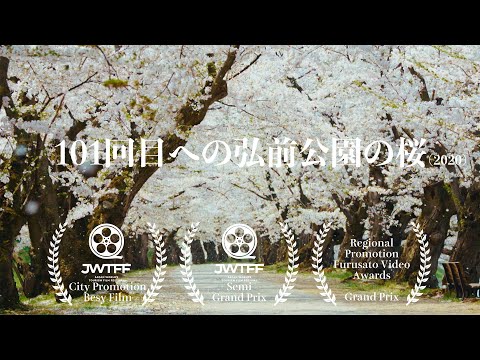【東北・青森】101回目への弘前公園の桜（2020）