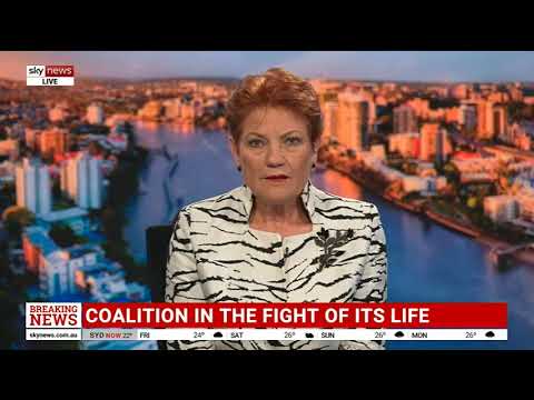 One Nation announces they will compete for Sussan Ley’s old seat
