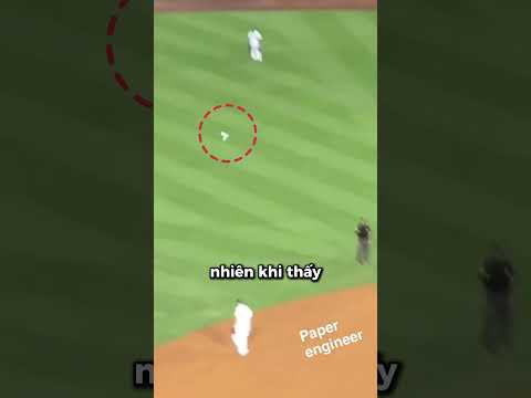 Cú Ném Máy Bay Giấy Khiến Cả Sân Vận Động Bùng Nổ