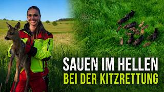 SAUEN im Hellen bei der Kitzrettung mit Drohne 2026 (DJI Matrice 4TD)