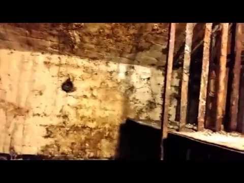 Beneath the Viaduct Tavern pub basement sell,s 126 Newgate Street EC1 London