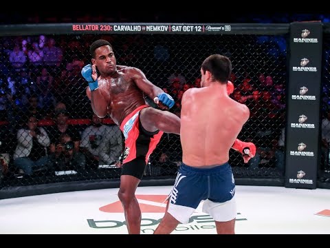 Bellator 229 Highlights: Lorenz Larkin Wins Close Call - MMA Fighting
