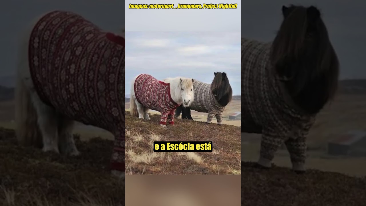 Eventos Insanos da Semana! ep.19