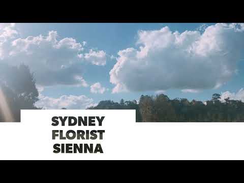 download lagu mp3 mp4 Food Bouquet Sydney, download lagu Food Bouquet Sydney gratis, unduh video klip Food Bouquet Sydney