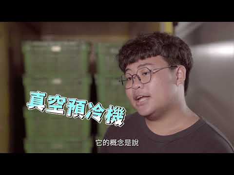 [達人教室] 有機蔬菜 夏季 莧菜