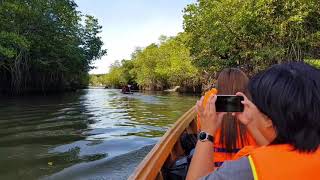 preview picture of video 'นั่งเรือ ชมธรรมชาติ ที่ บางปู ปัตตานี'