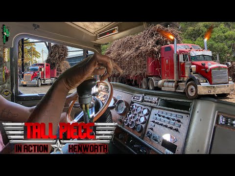 Tall Piece In Action | Shifting 18 Speed | Kenworth T800 | Cane Crop 2024 | Worthy Park Estate