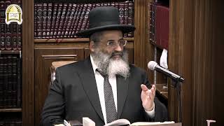 תיקון ימי השובבי"ם | שיעור מס' 15 בסדרה | בירור כח המדמה | חלק א'