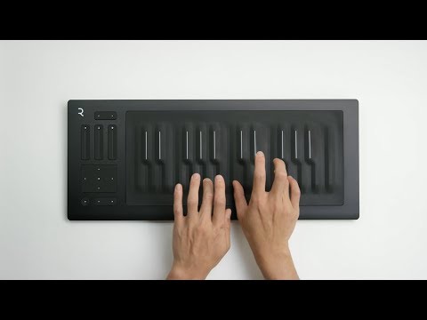 ROLI Seaboard RISE 25 image 11