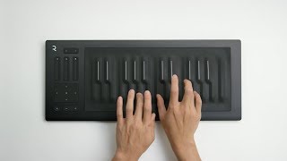 Video thumbnail for Roli Seaboard RISE 25 Overview by JB Hi-Fi Official