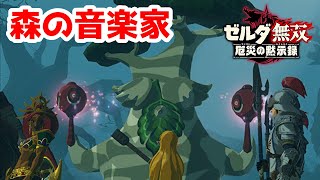 【実況】定年を迎えた父を再びハイラルの大地に放り込むPart19【ゼルダ無双 厄災の黙示録】