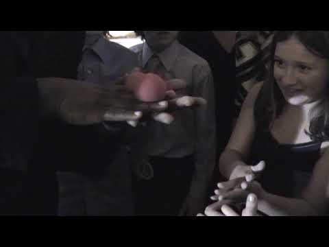 Magic Touch Family Entertainment video.