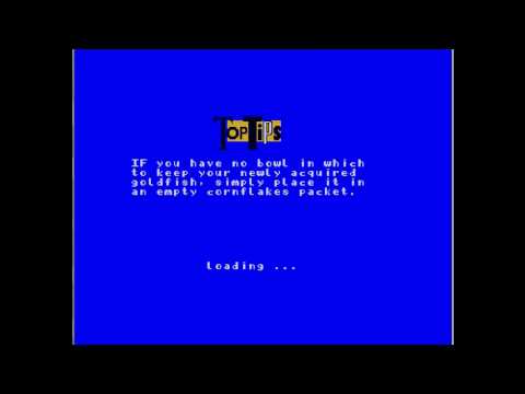 viz amiga rom