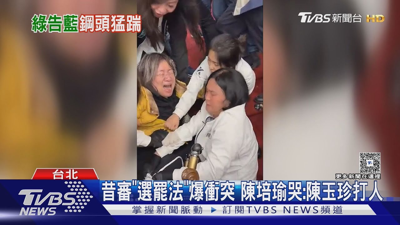 陳培瑜控「鋼頭鞋猛踹7次」 陳玉珍:說謊