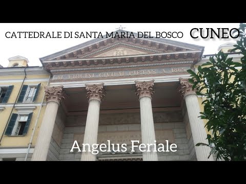 Le campane della Cattedrale di Santa Maria del Bosco di Cuneo - Angelus Feriale