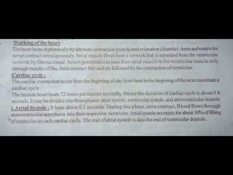 Inter 2nd year SYNAPTIC TRANSMISSION ZOOLOGY