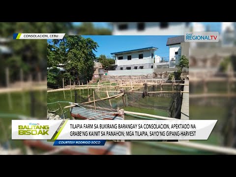 Balitang Bisdak: Tilapiahan sa Consolacion, apektado na sa kainit sa panahon