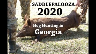 South Georgia Hog Hunting - Saddlepalooza 2020