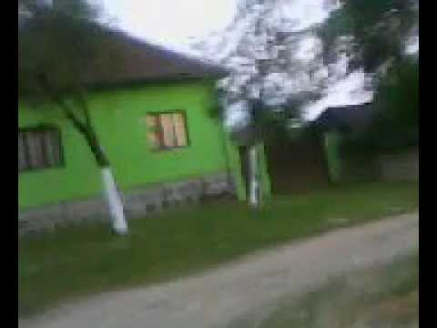 Casa parinteasca a sotului - FENIS-COM .GURAHONT-Jud.Arad