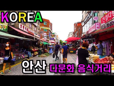 안가라면 영상