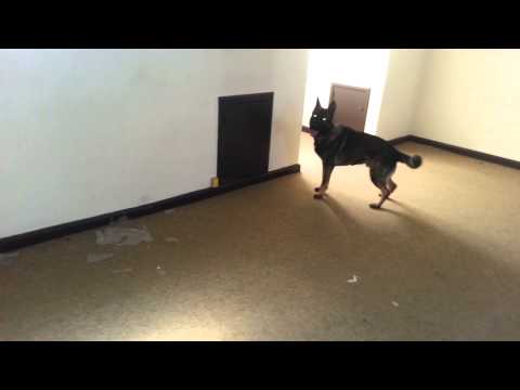 Jabina Fido - mystiske mennesker i væggen