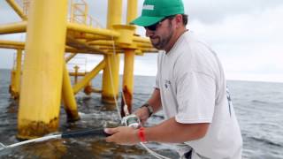 Fish Mavericks Catching Fish on the Oil Rigs