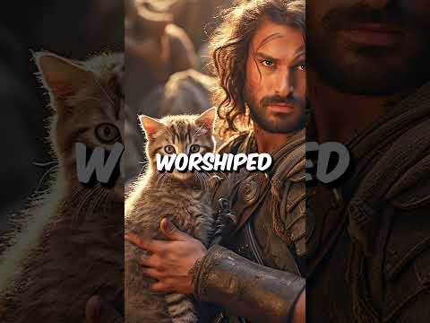 3 Insane Battle Strategies that actually worked